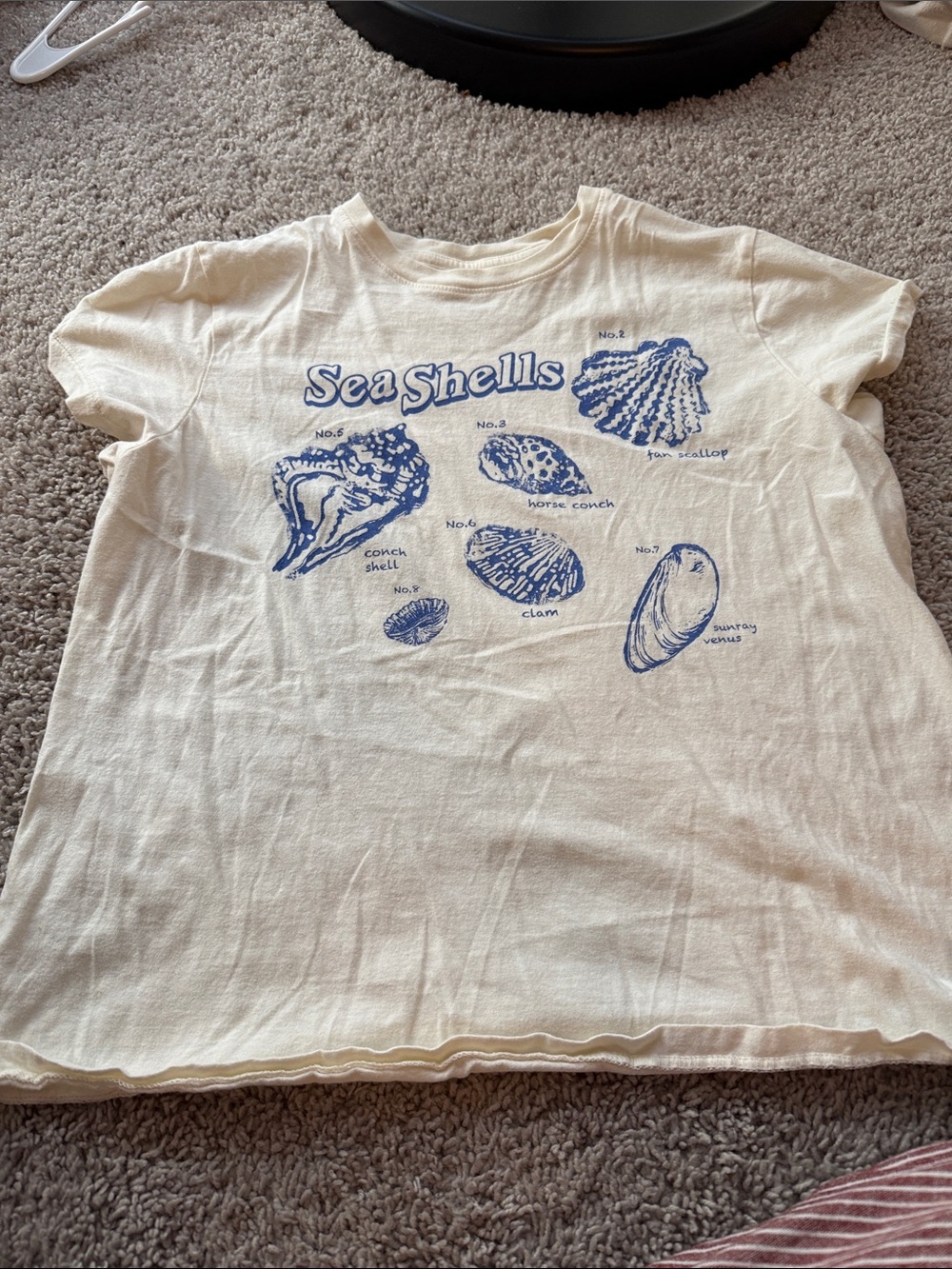 Universal Thread Cream Tee with Blue Sea Shells Graphic